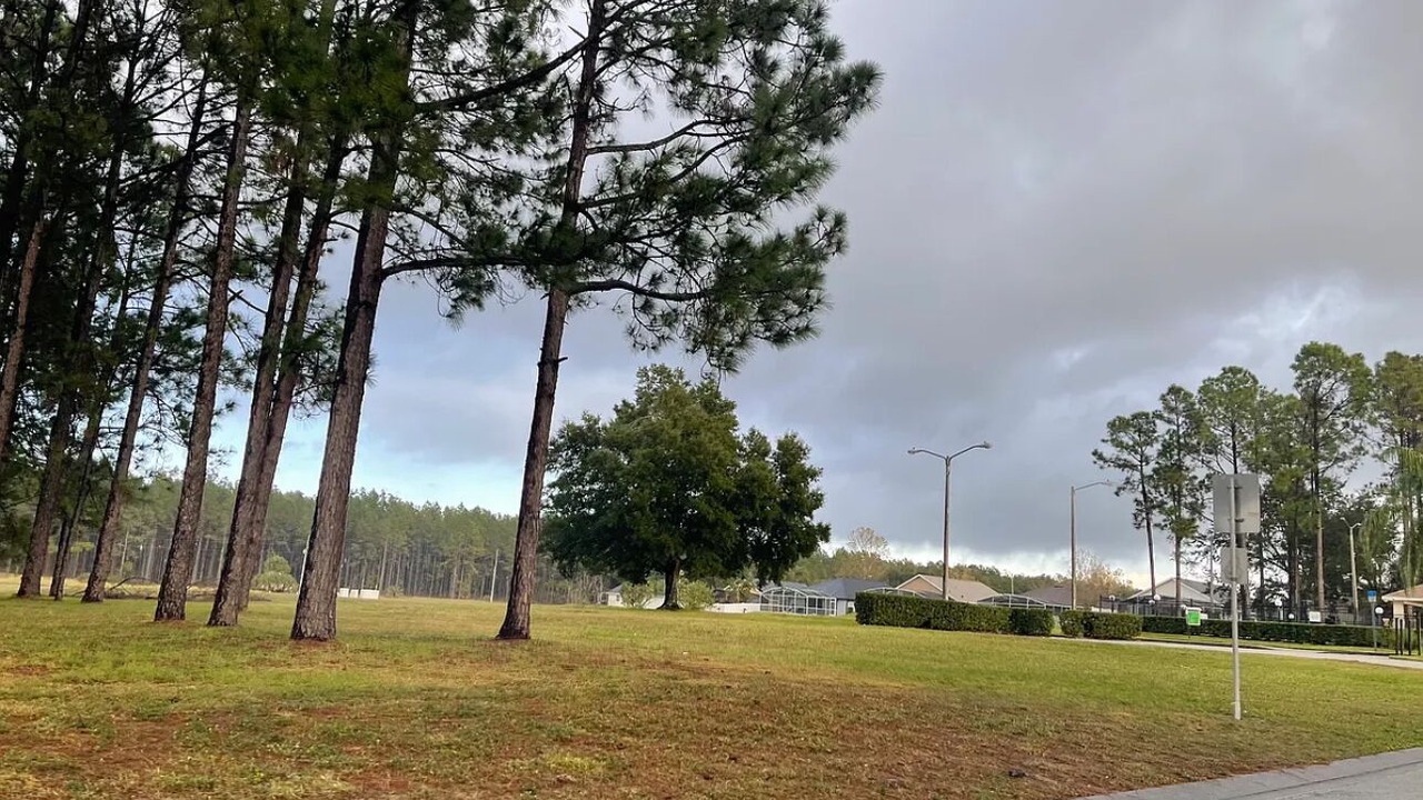 Photo of Others in Florida Pines