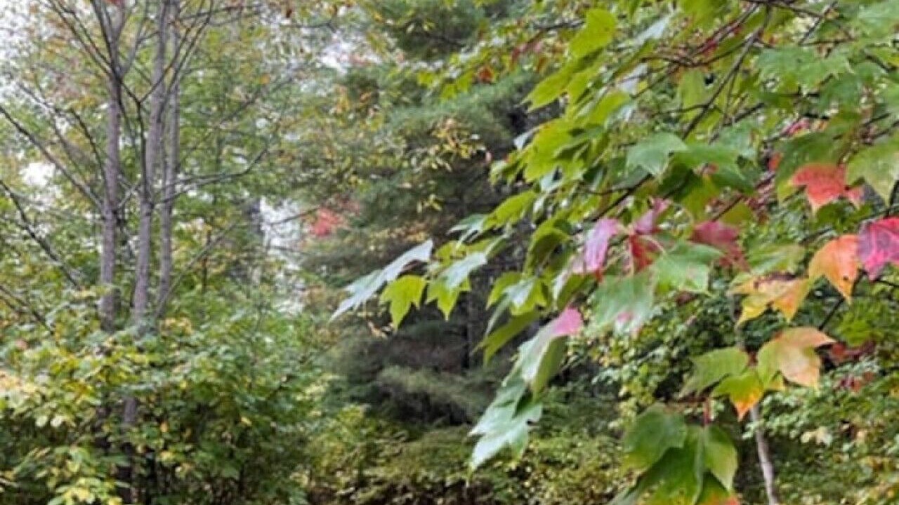Photo of Others in Dwight