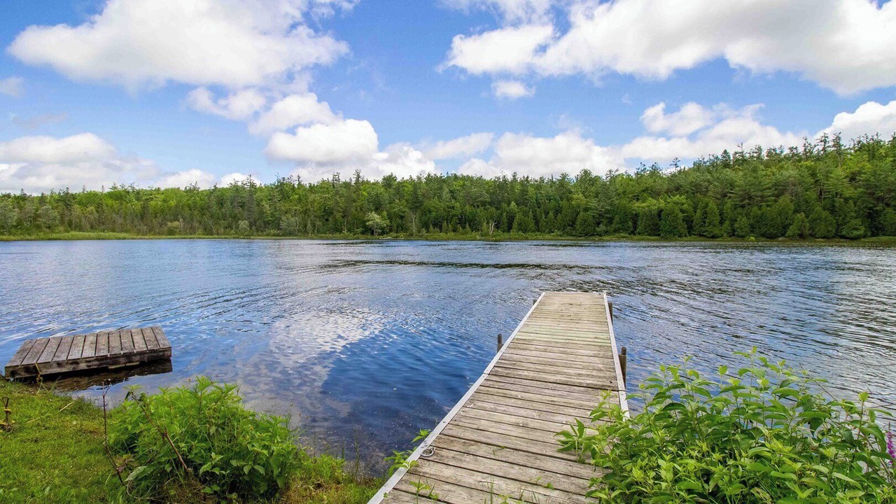 Photo of Outdoor in Burnt River