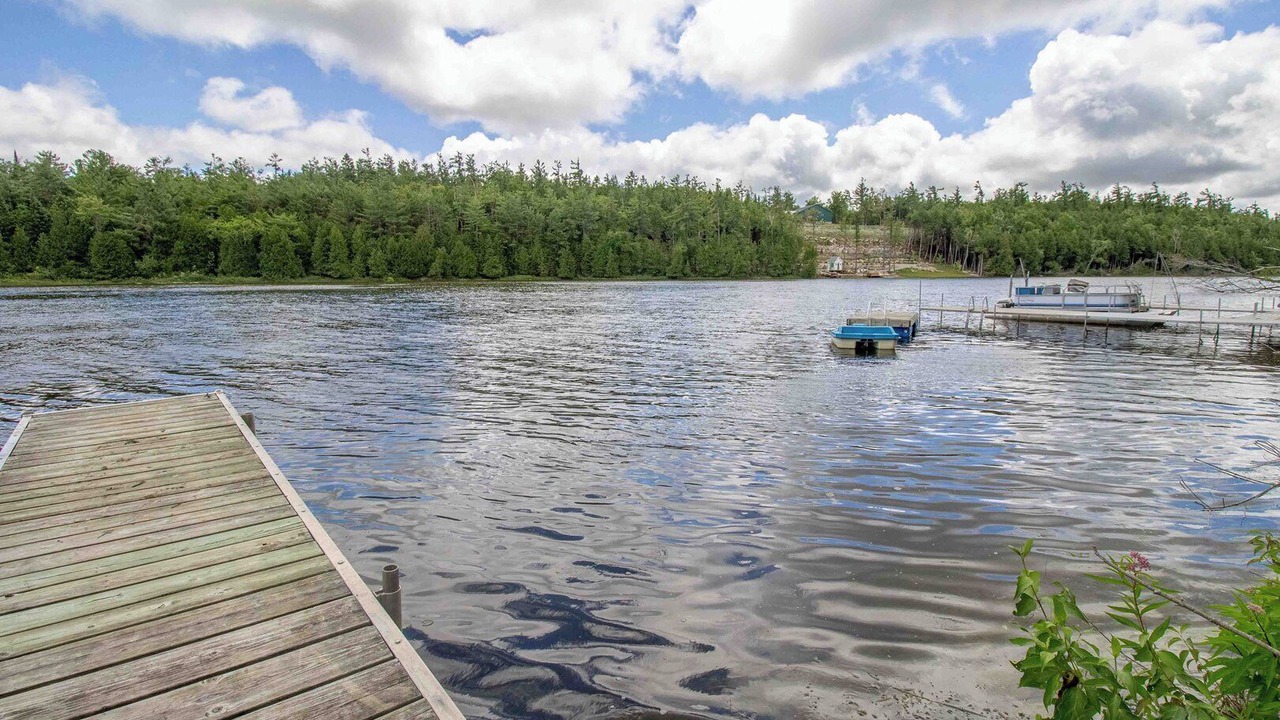 Photo of Outdoor in Burnt River