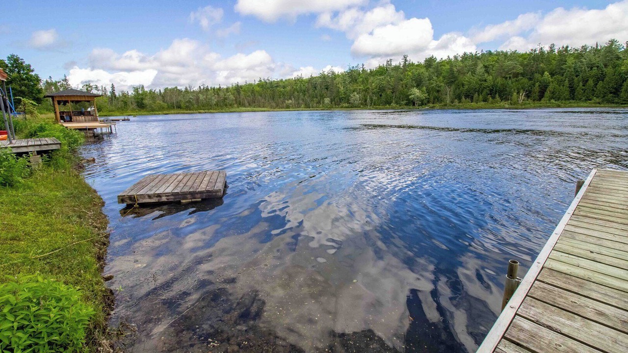 Photo of Outdoor in Burnt River
