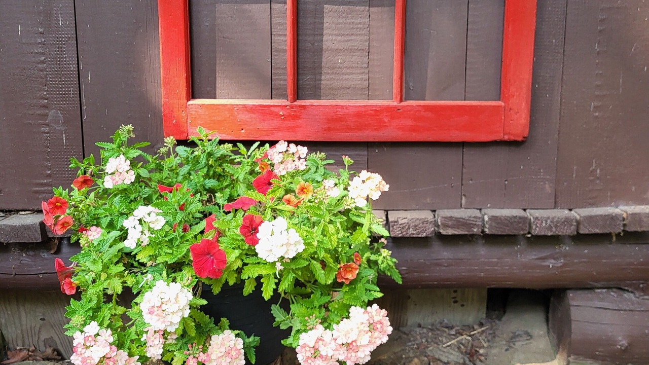Photo of Outdoor in Baysville