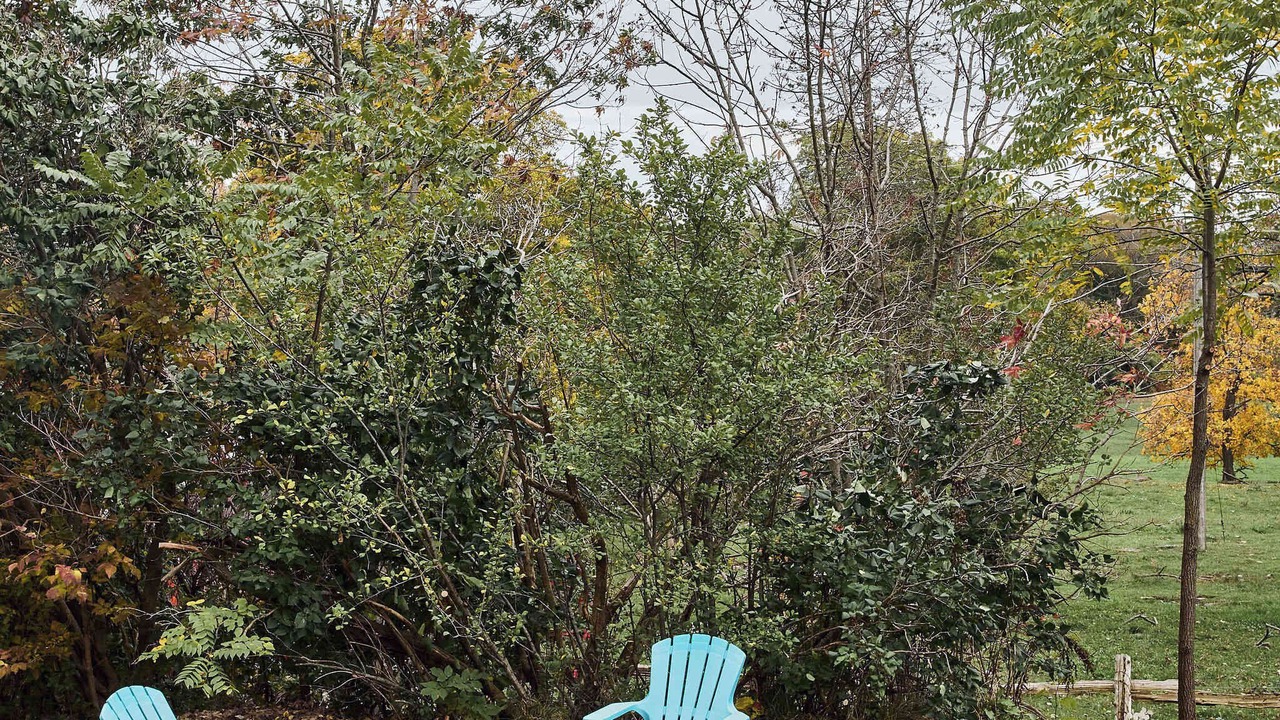 Photo of Outdoor in Waupoos