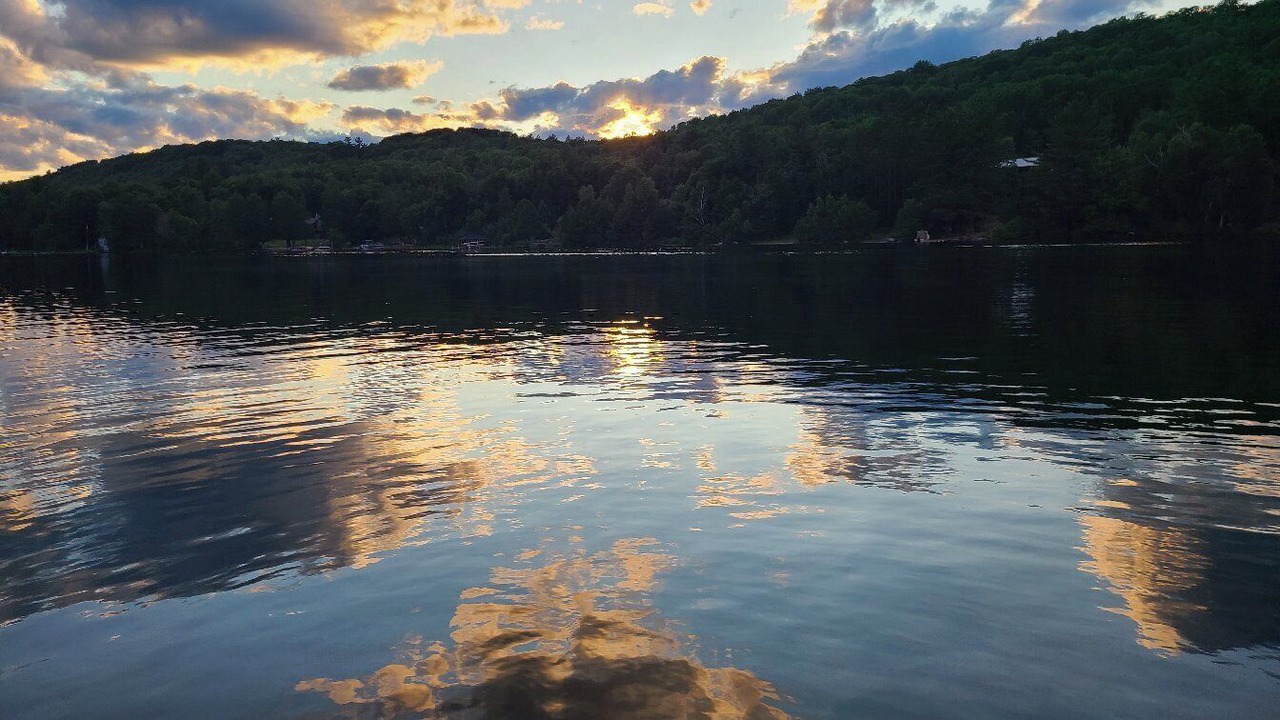 Photo of Outdoor in Feronia