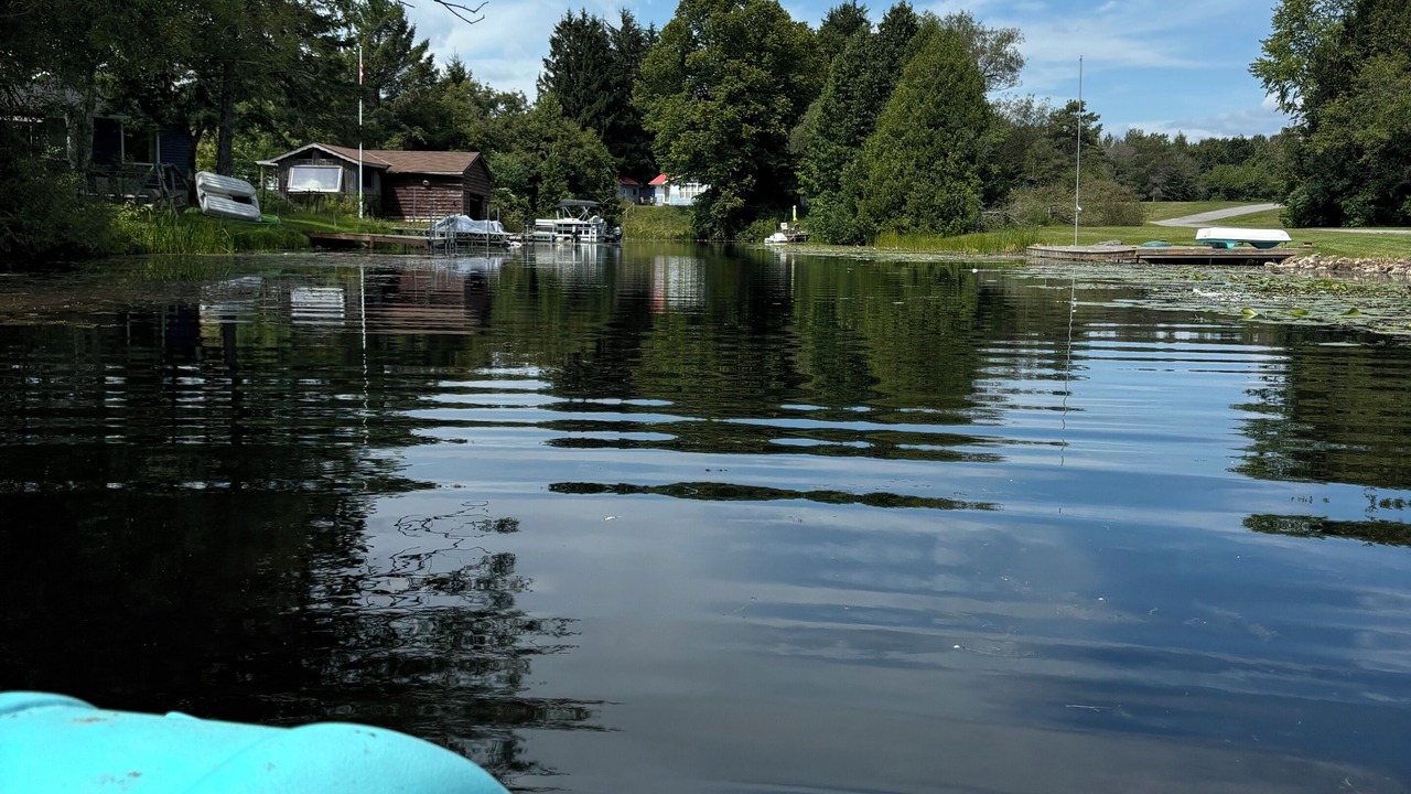 Photo of Others in Fenelon Falls