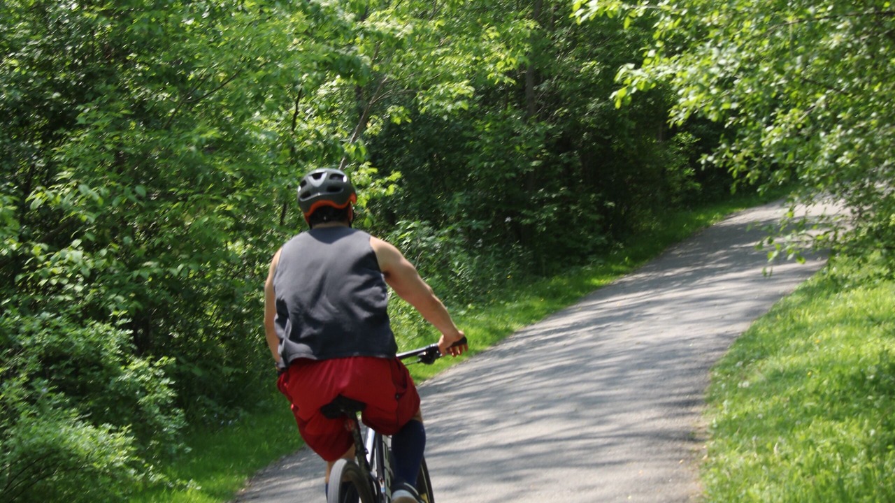 Photo of Others in Bayview Woods - Steeles