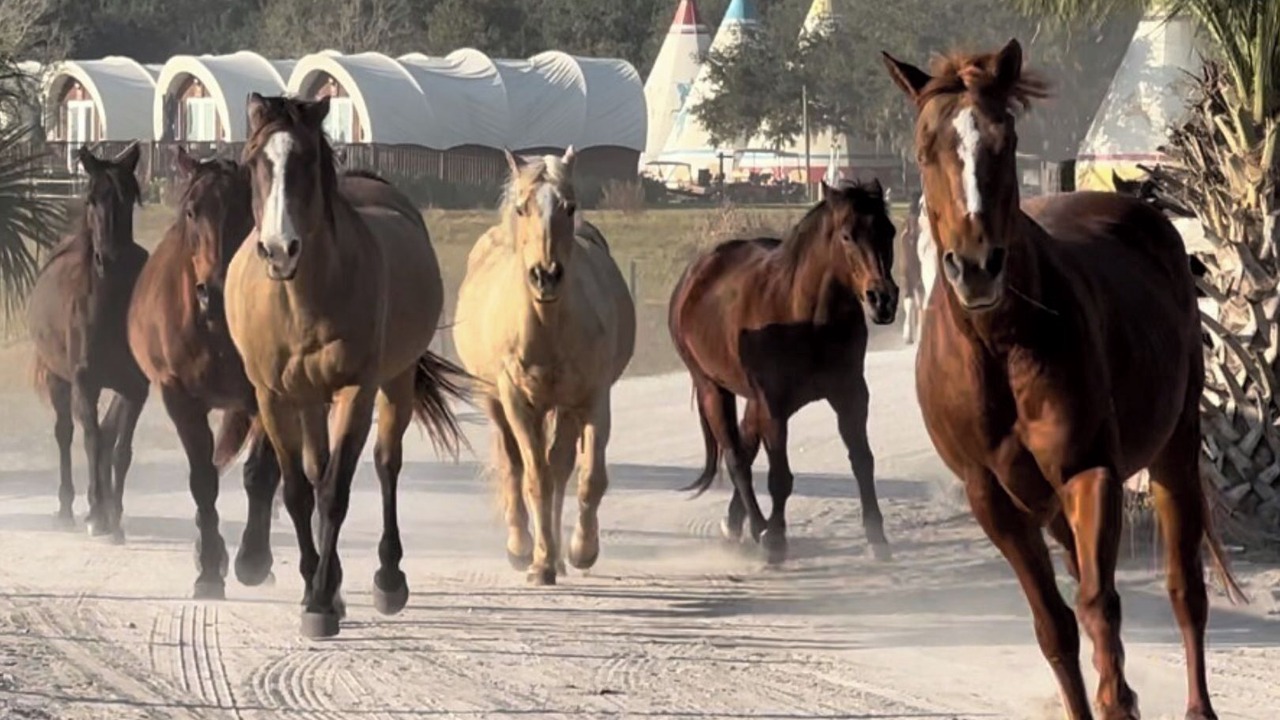 Photo of Others in River Ranch