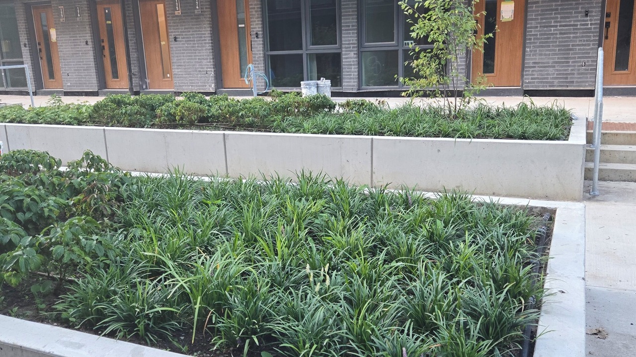Photo of Outdoor in Toronto
