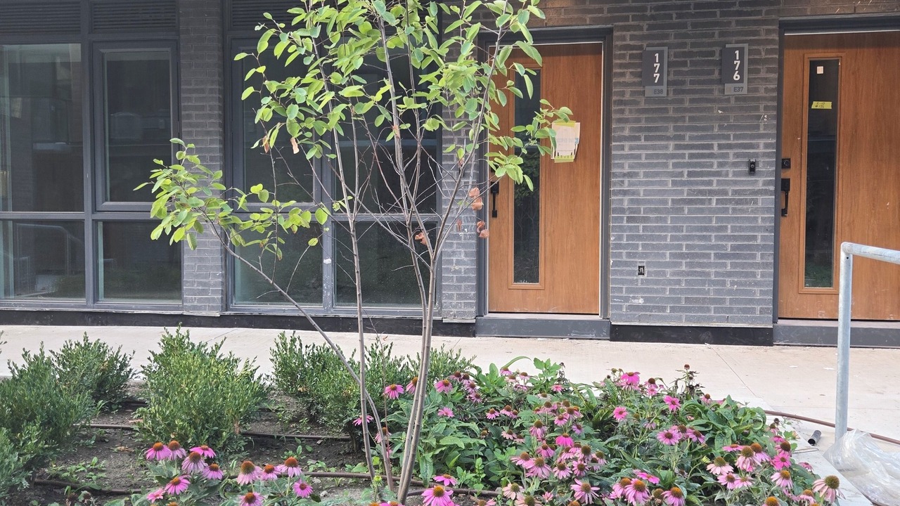 Photo of Outdoor in Toronto