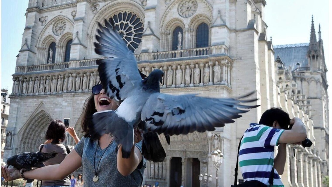 Photo of Others in Quartier Saint-Georges
