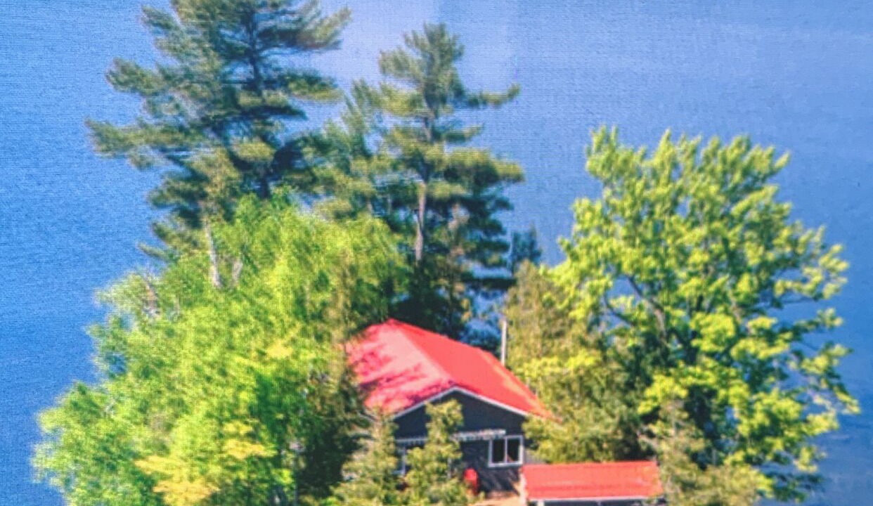 Photo of Outdoor in Sharbot Lake
