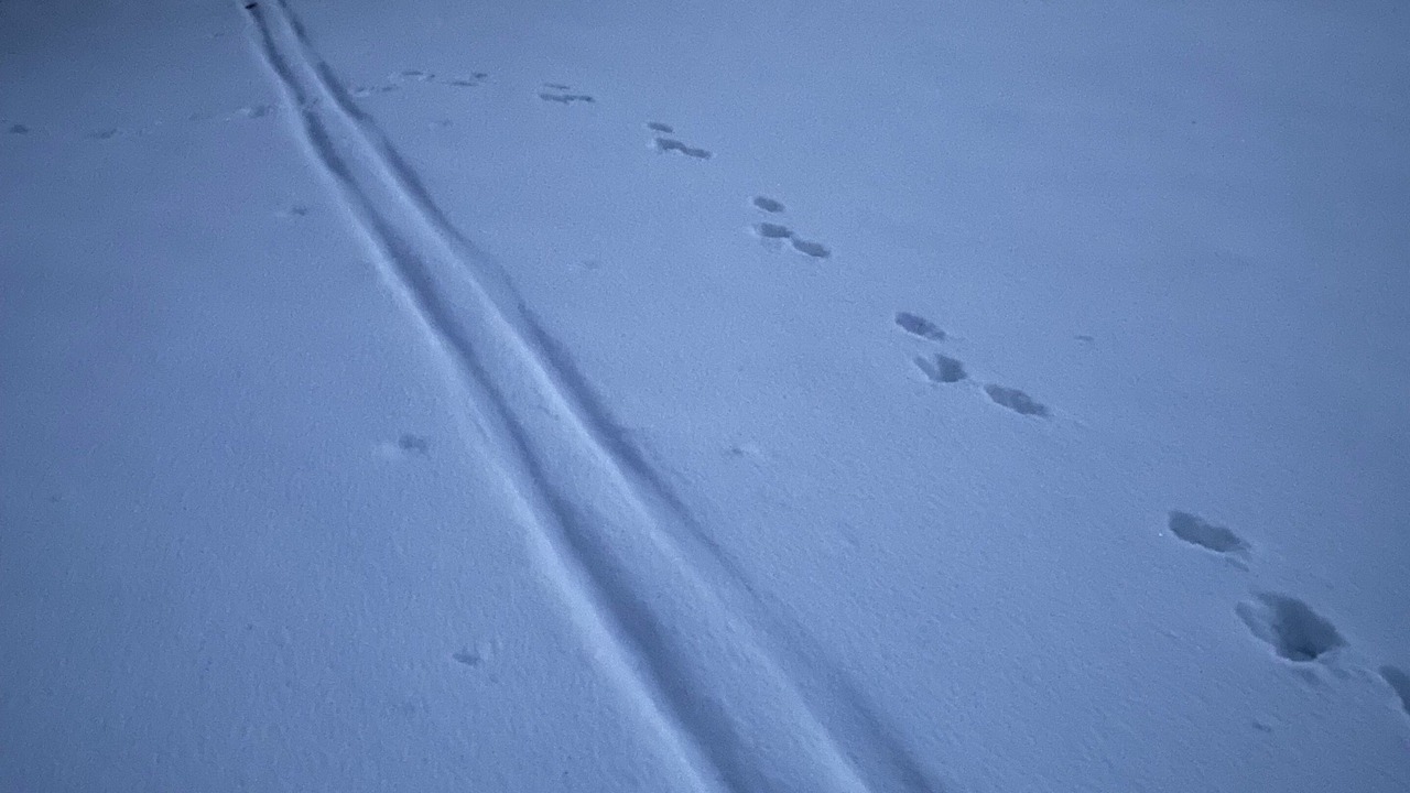 Photo of Others in Claysburg