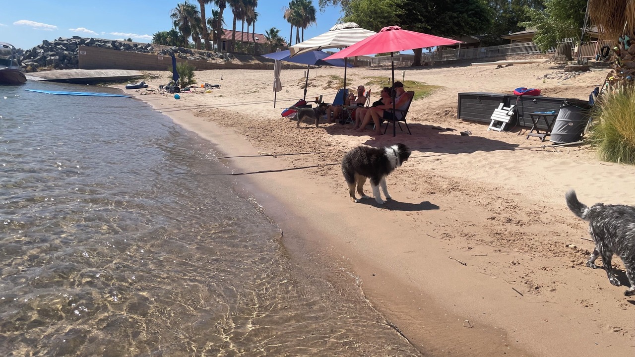 Photo of Others in Mohave Valley