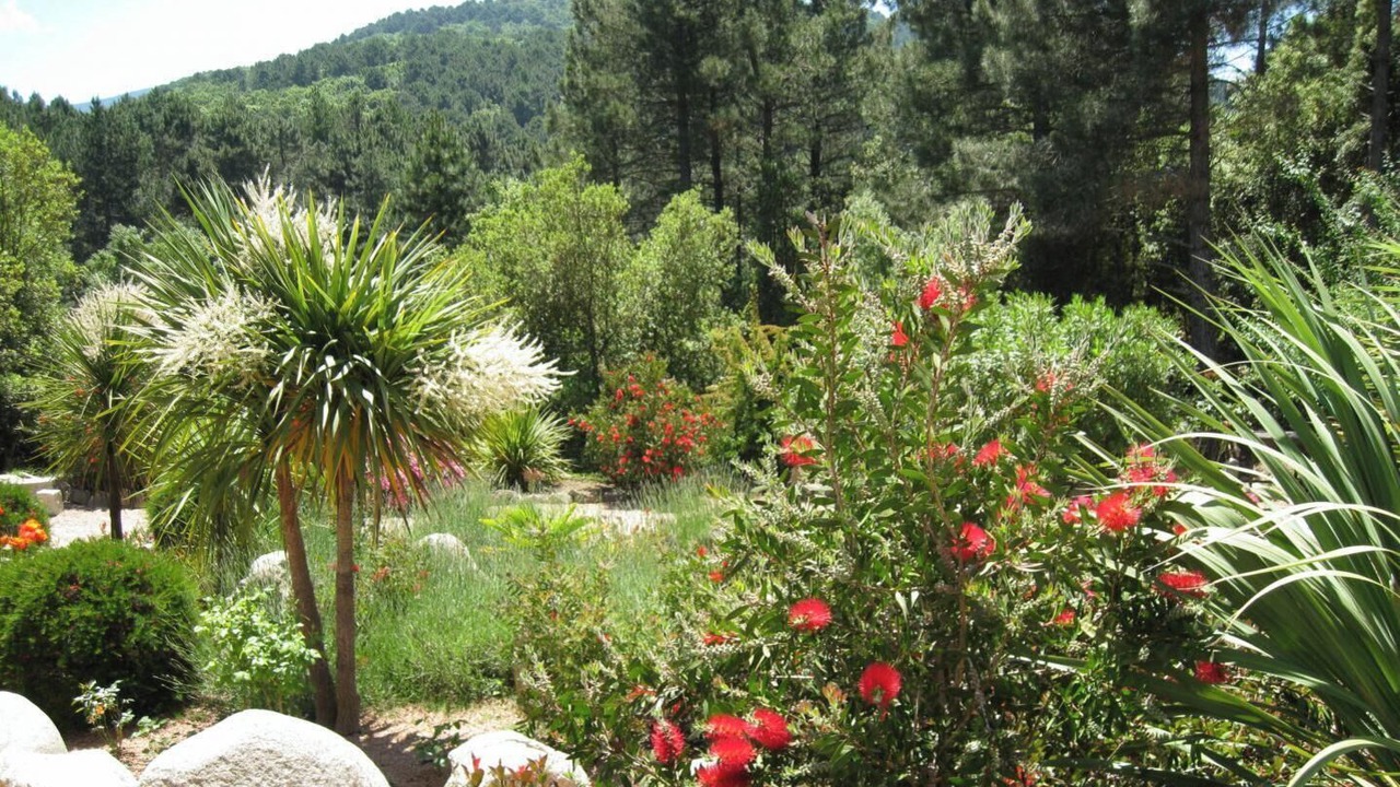 Photo of Outdoor in Levie