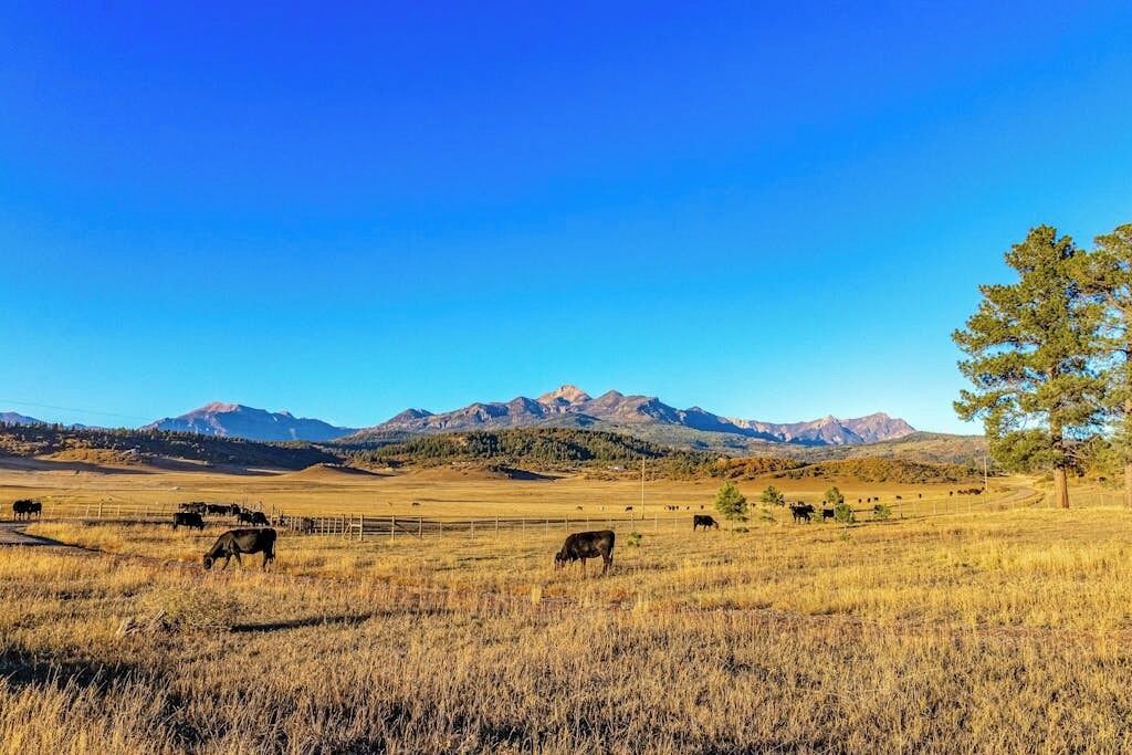 Photo of Others in Pagosa Springs