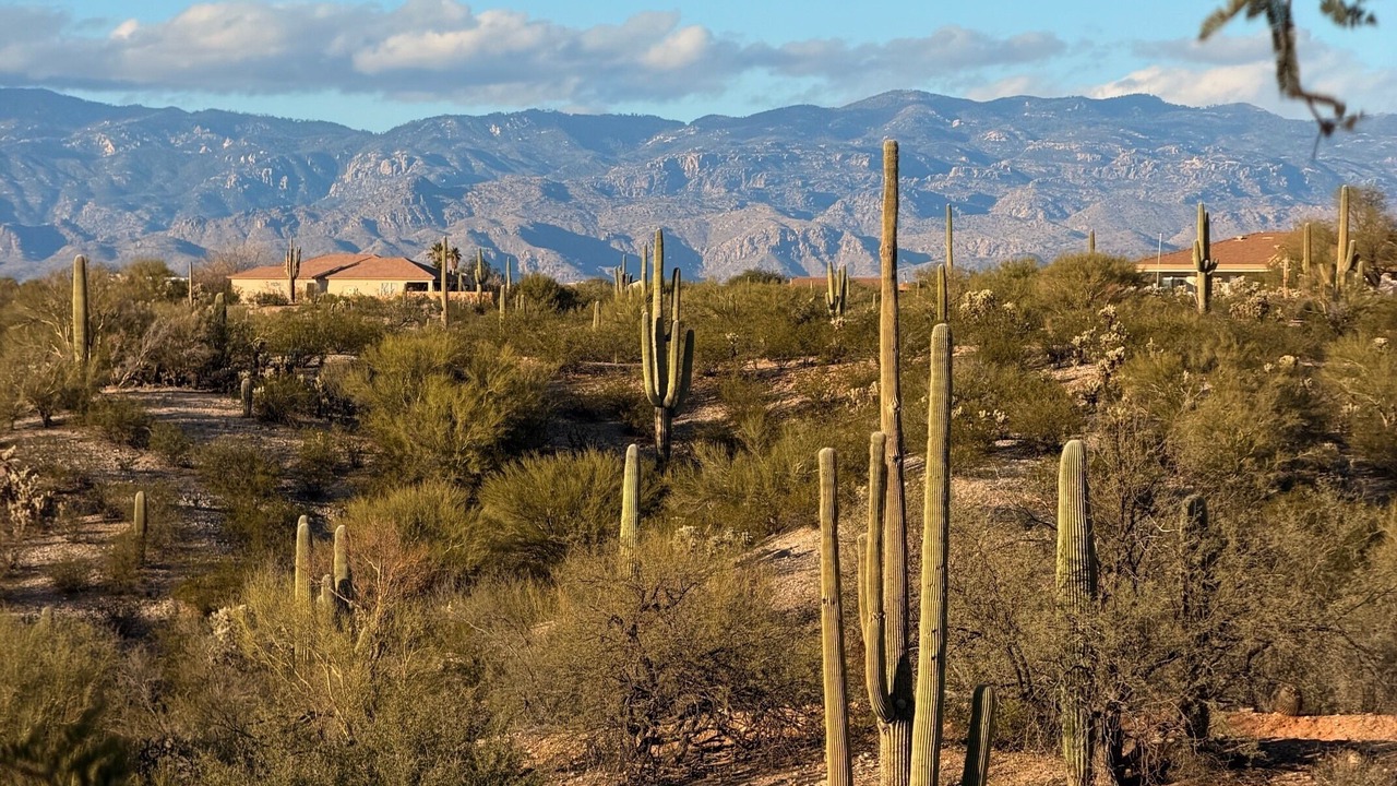 Photo of Others in Tucson