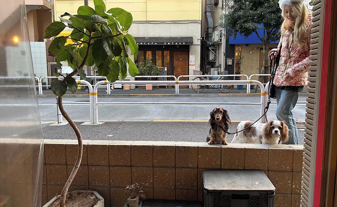 Photo of Others in Osaki