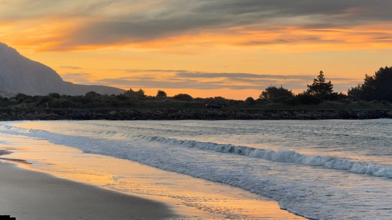 Photo of Others in Aramoana