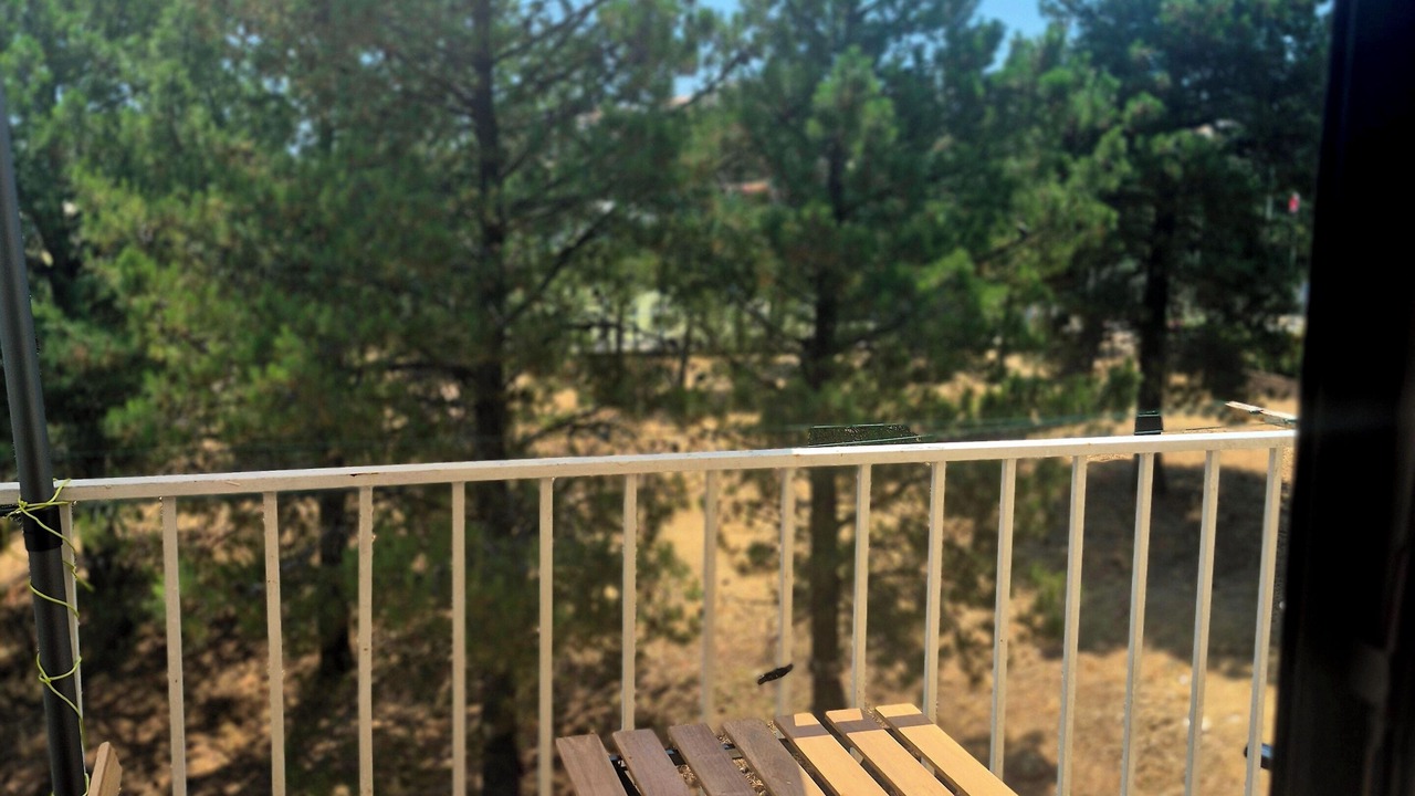 Photo of Outdoor in Solenzara