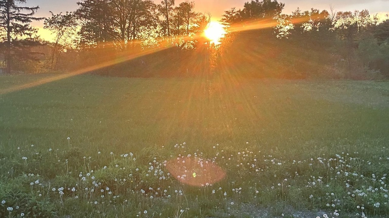 Photo of Outdoor in Brampton