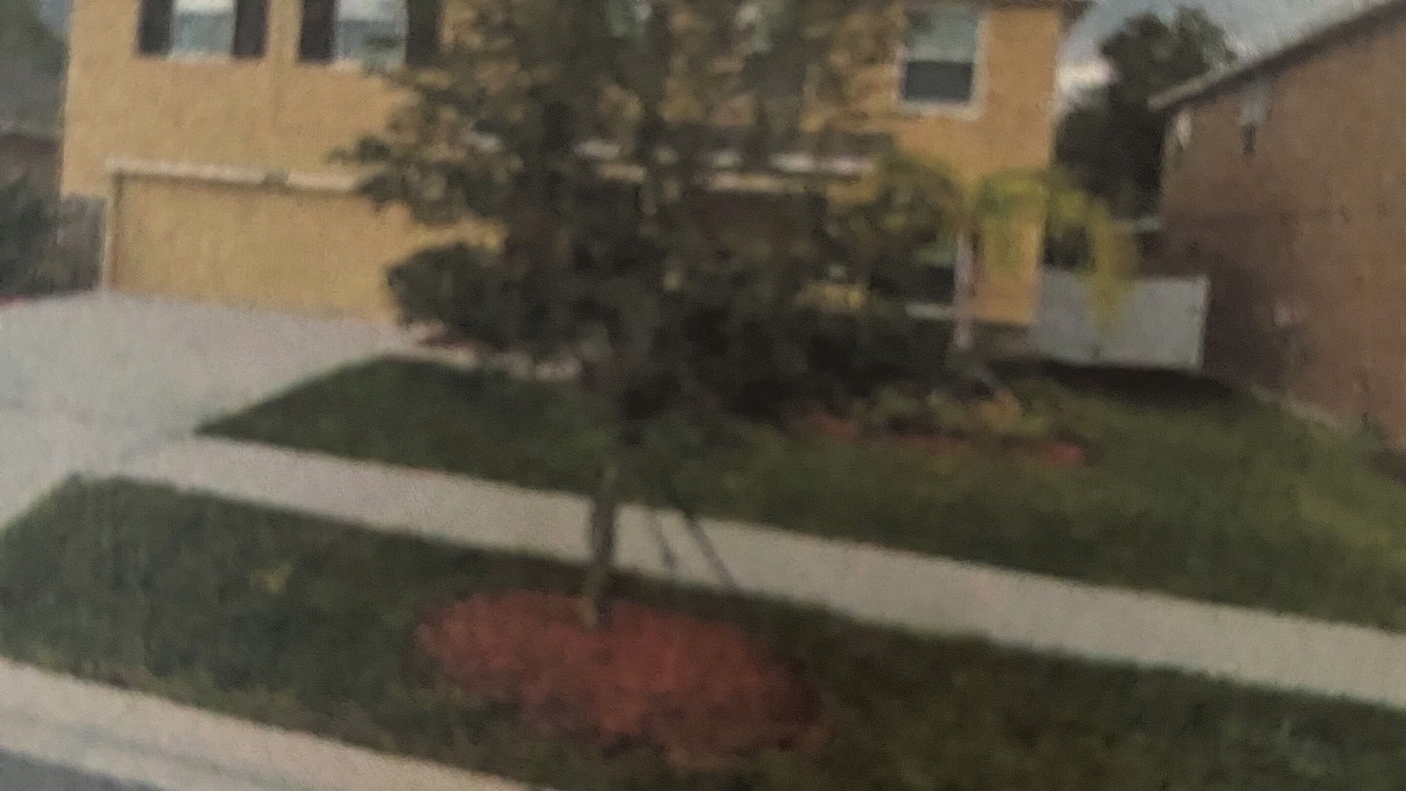 Photo of Others in Riverview