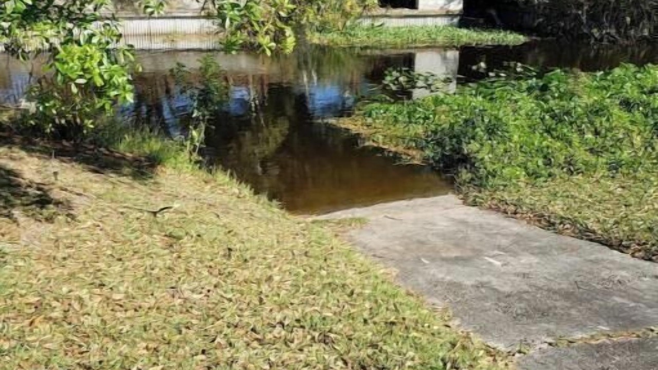 Photo of Outdoor in Taylor Creek
