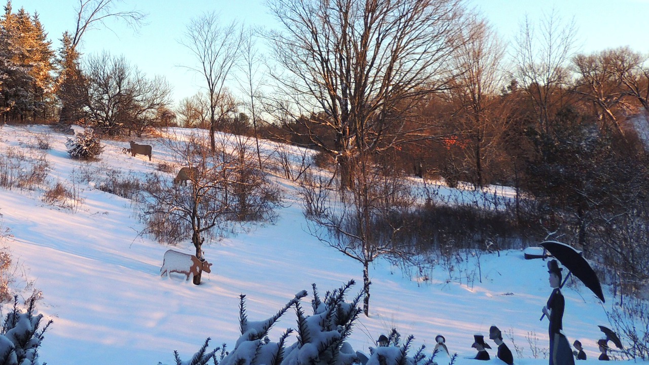 Photo of Outdoor in Cramahe