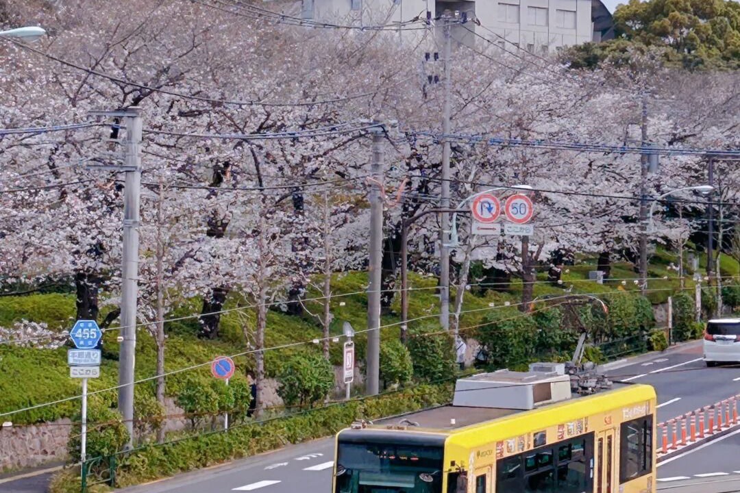 Photo of Others in Kita