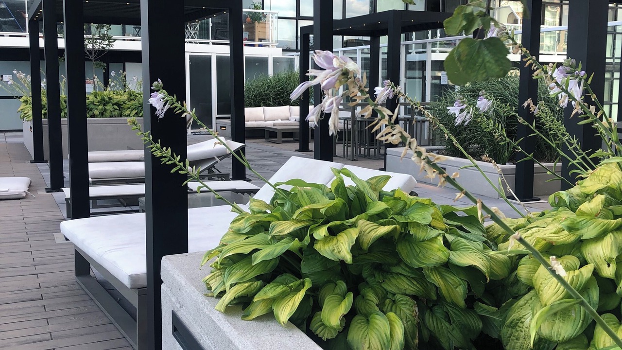 Photo of Patio Balcony in Humber Bay