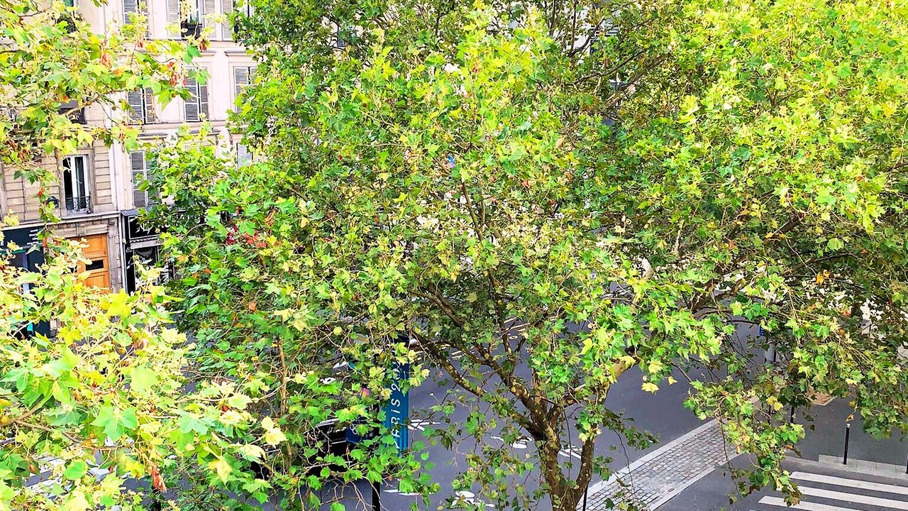 Photo of Outdoor in Quartier de la Goutte-d'Or
