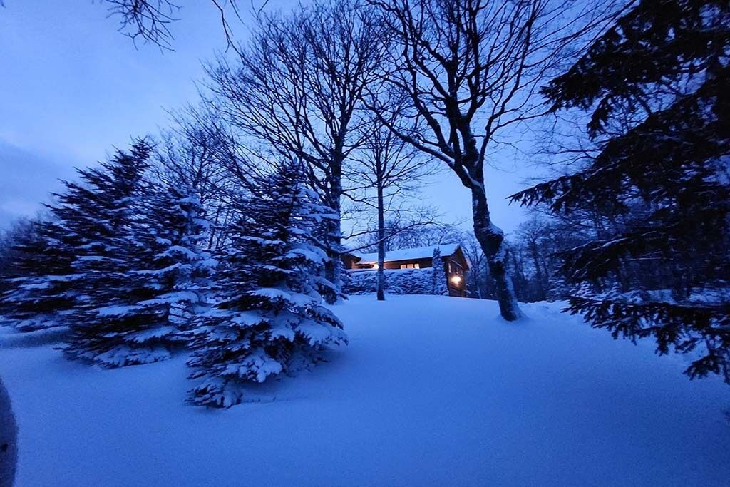 Photo of Outdoor in The Blue Mountains