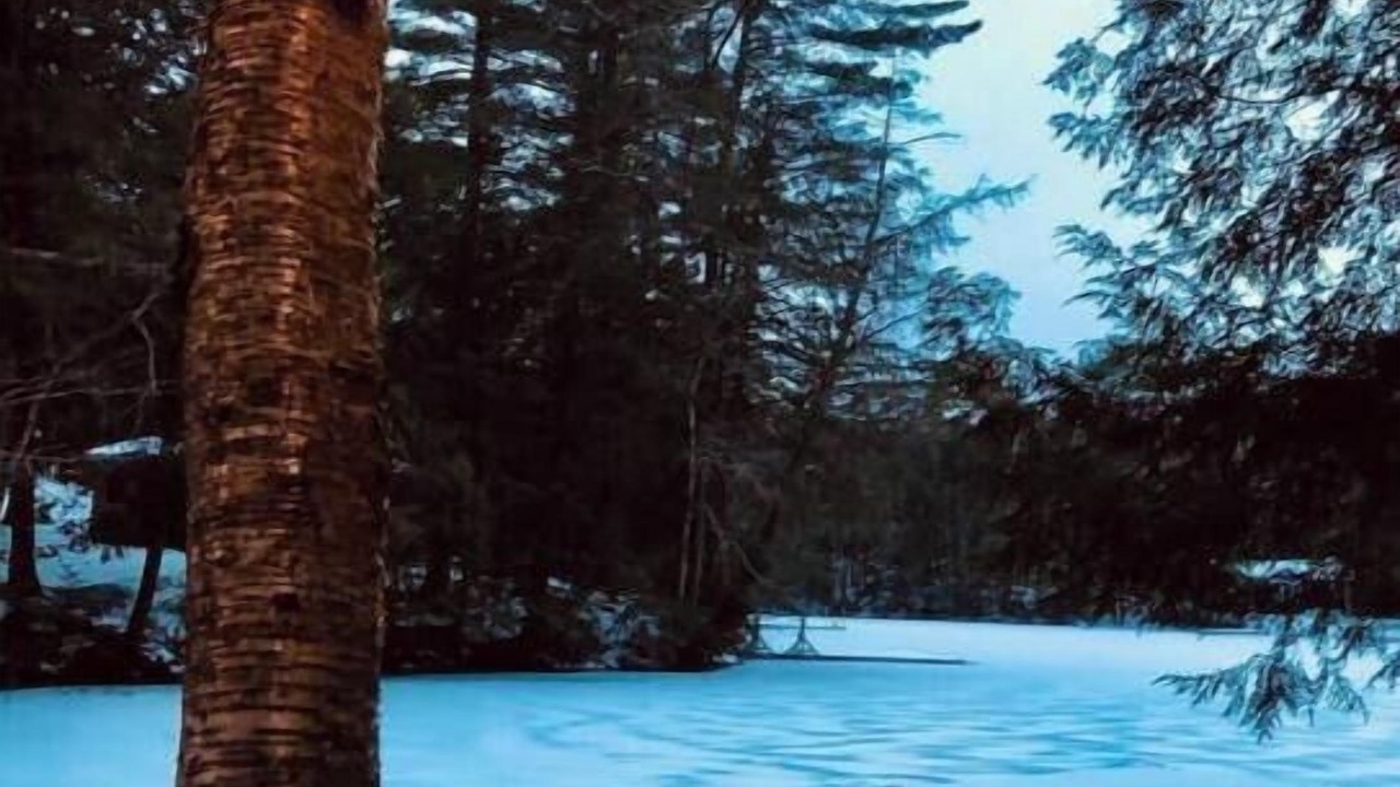 Photo of Outdoor in Novar