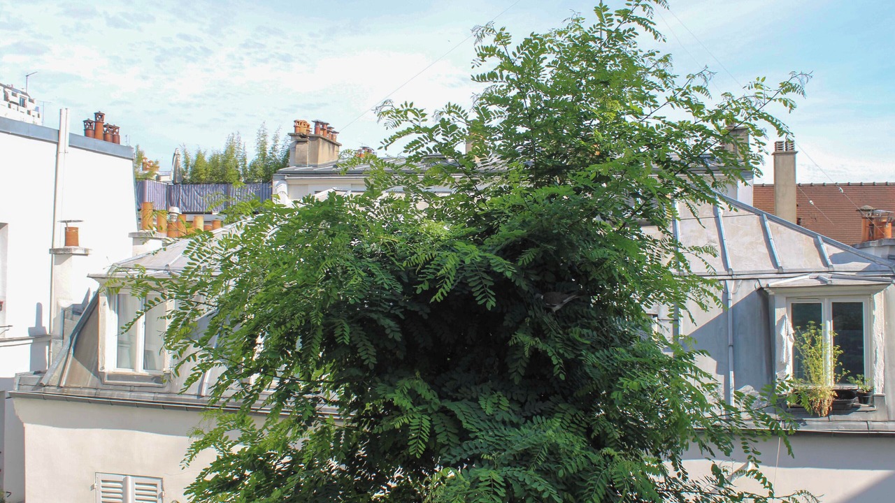 Photo of Outdoor in Clignancourt