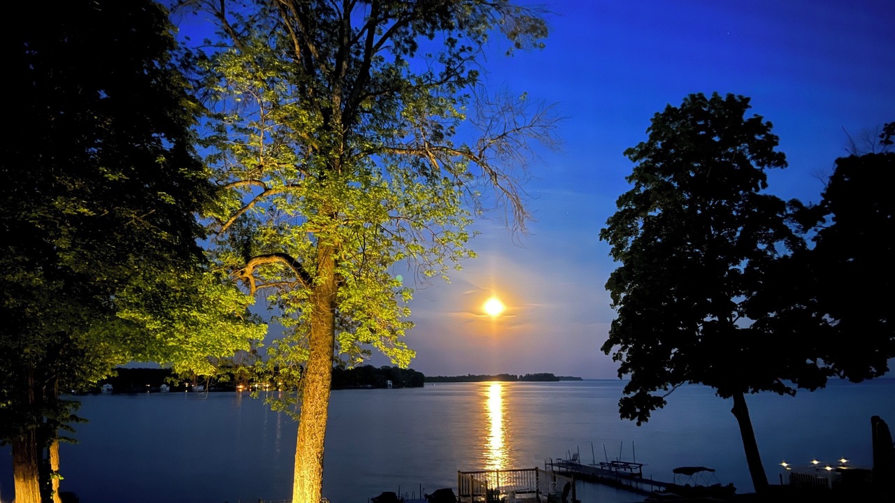Photo of Outdoor in Orillia