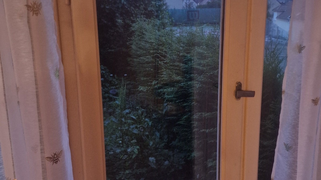 Photo of Others in Vaujours