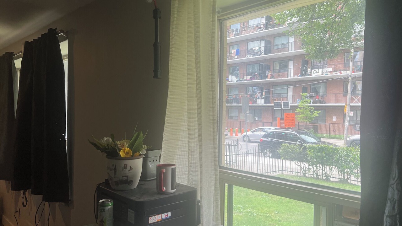 Photo of Others in Parkdale