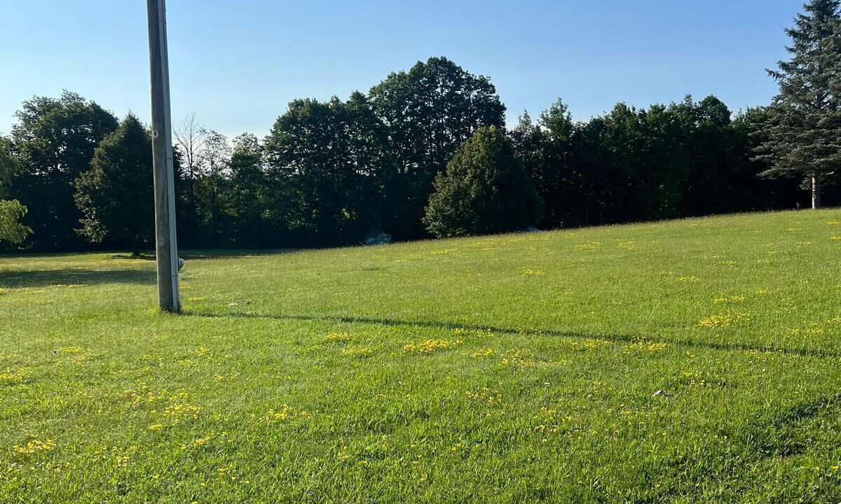 Photo of Outdoor in Chatsworth