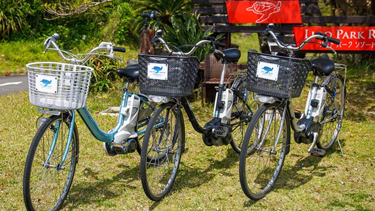 Photo of Outdoor in Hachijo
