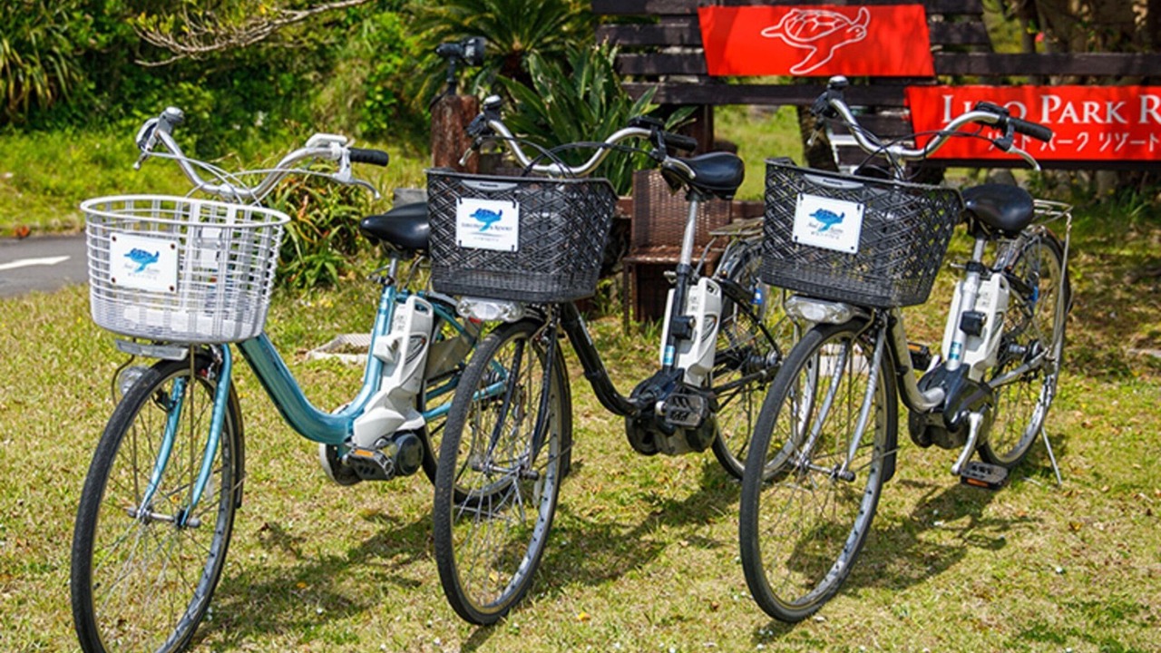 Photo of Outdoor in Hachijo