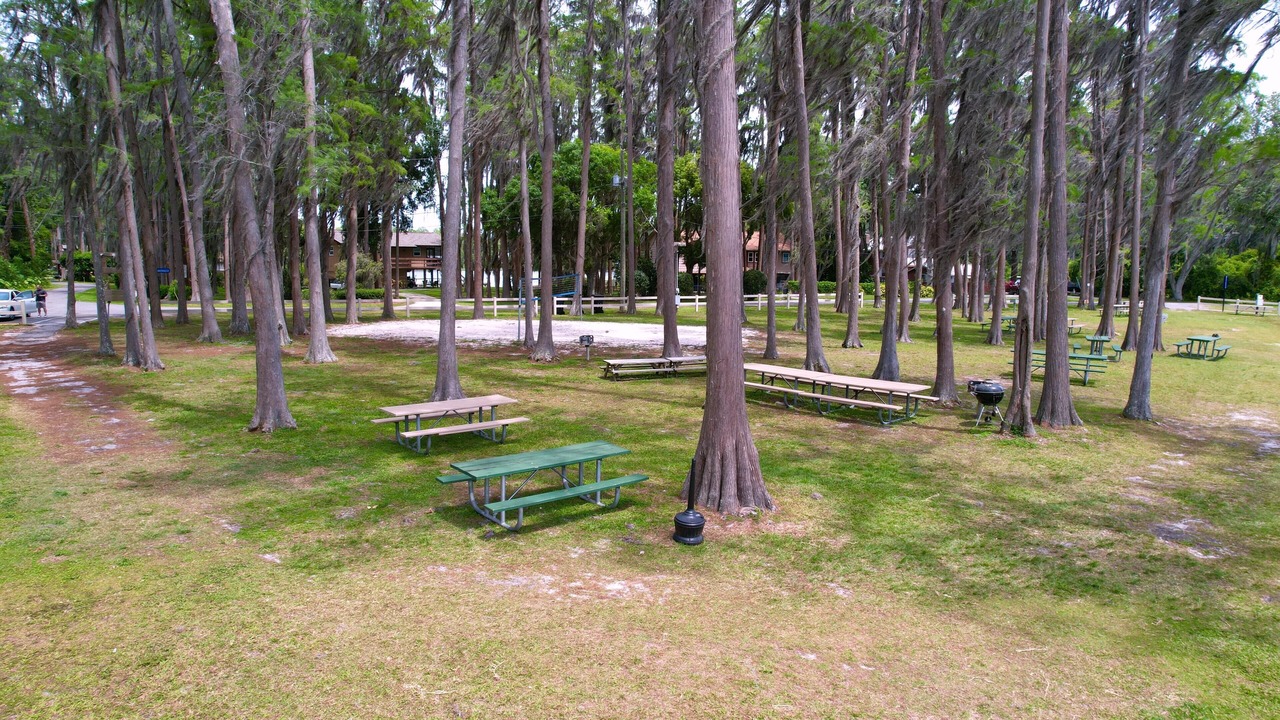 Photo of Outdoor in Odessa