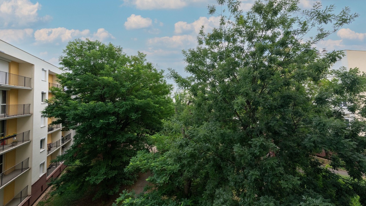 Photo of Outdoor in Rosny-sous-Bois