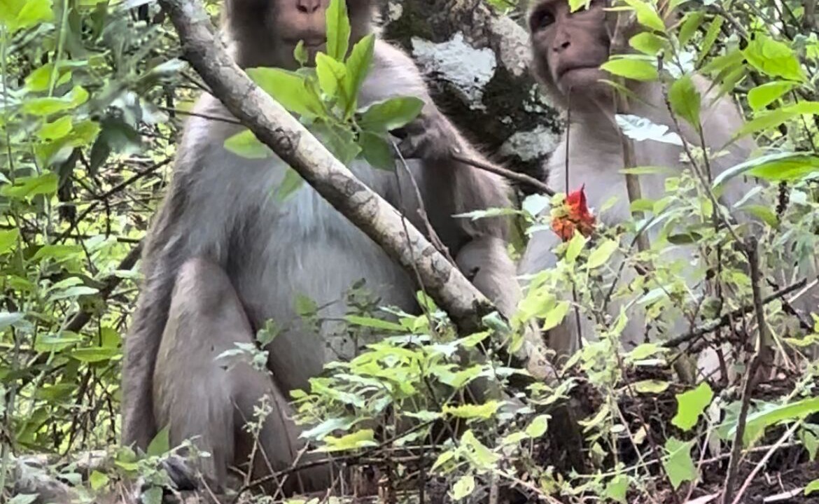Photo of Others in Silver Springs