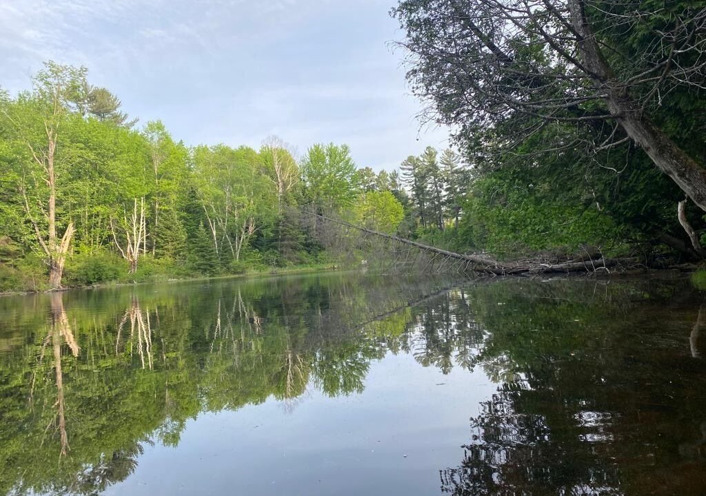 Photo of Outdoor in Nipissing