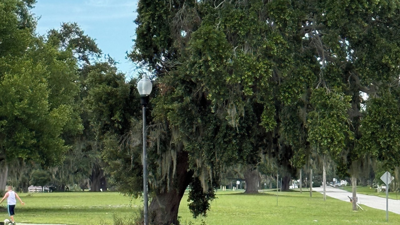 Photo of Others in Lake Wales