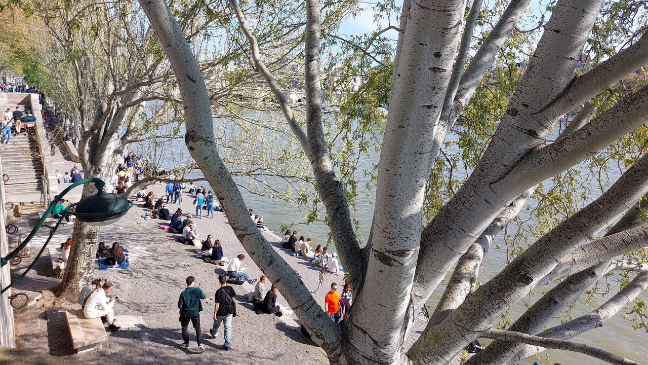 Photo of Others in Montreuil