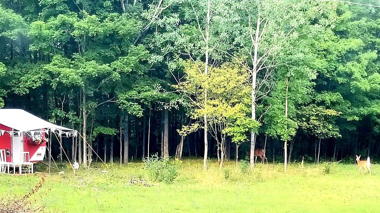 Photo of Others in Tay Valley