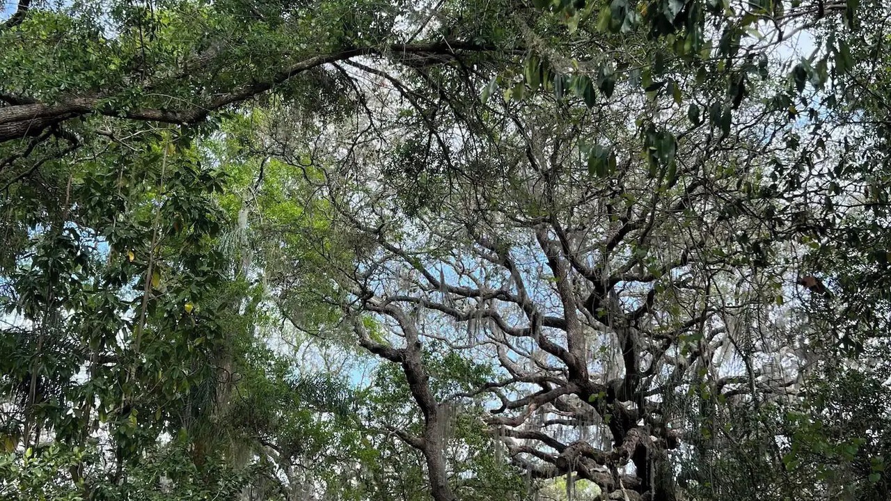 Photo of Outdoor in Odessa