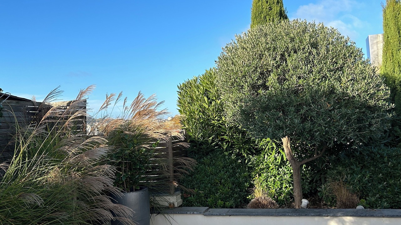 Photo of Outdoor in Neuilly-sur-Seine