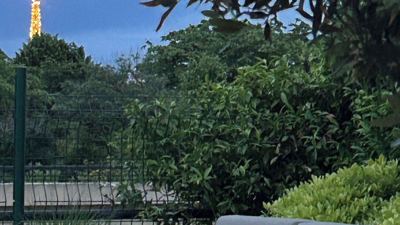 Photo of Outdoor in Neuilly-sur-Seine