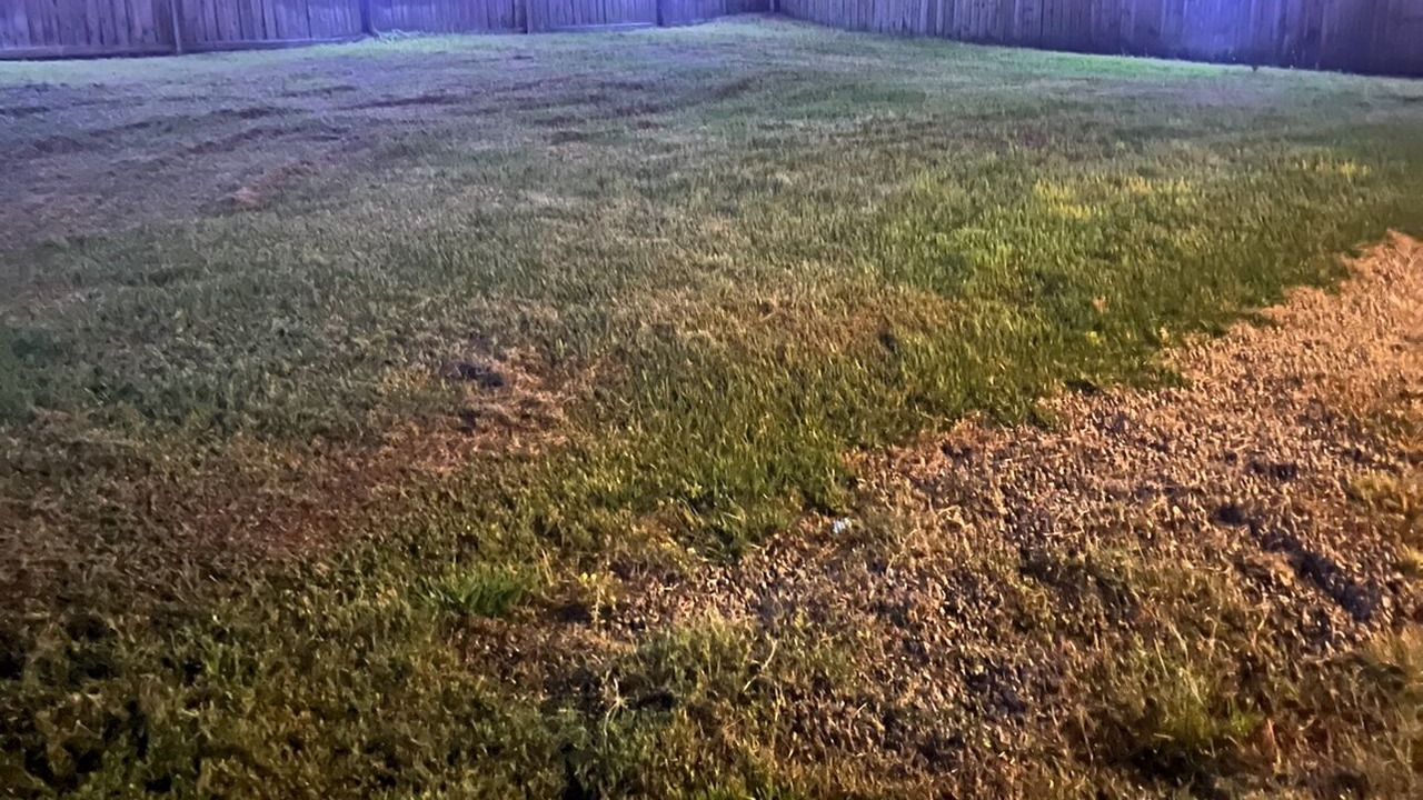 Photo of Outdoor in Lakeland